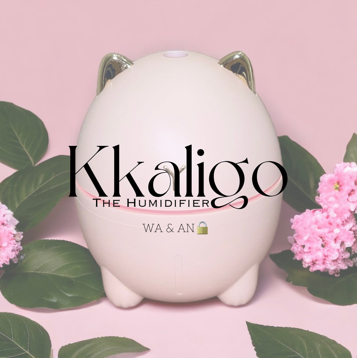 KKALIGO Humidifiers